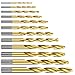 Twist Drill Bit Set(12PCS), Werkzeug Titanium Drill Bit Set General Purpose High-Speed Steel, Metal Drill Bits Set for Wood, Plastic, Metal, Aluminum Alloy etc (1/8