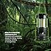 MalloMe LED Camping Lantern Flashlights 2 Pack - Super Bright - 350 Lumen Portable Outdoor Lights - AA Batteries Required, Not Included (Black, Collapsible)