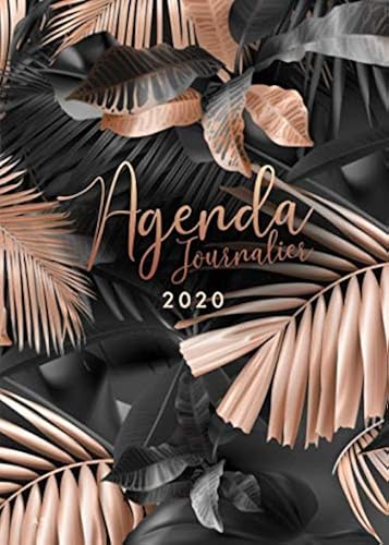 Download Agenda 2020: 12 mois journalier 2020 - format A5 - janvier à décembre 2020 - planificateur, semainier simple & graphique, motif Feuille de Palmier Tropical or rose et noir PDF