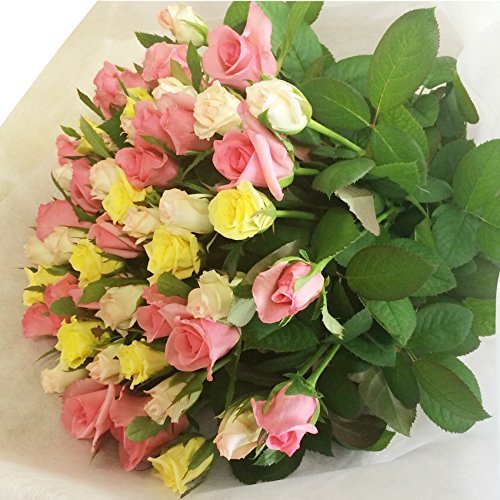 全６色から選べるバラの花束30本 バラギフト専門店マミーローズの豪華なバラの花束 生花 ミックス バレンタイン B00sj6r2oo ミックス ミックス 花束