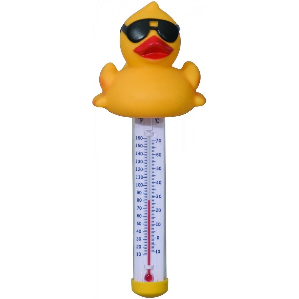 Derby canard Thermomètre flottant pour piscine Amazon.co.uk Garden