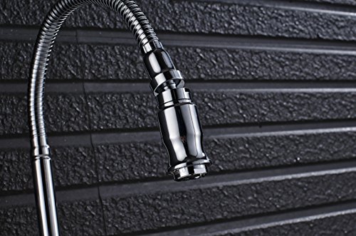 Rozin Wall Mounted Flexible Rotatable Spout Sink Faucet Single Cold Water Tap