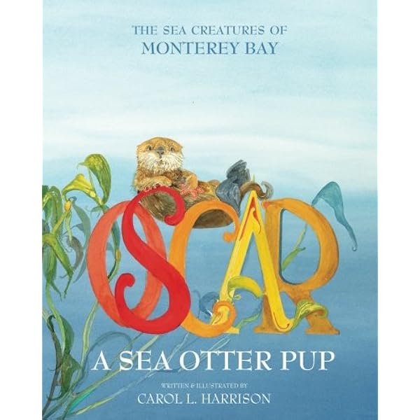 アート・デザイン・音楽 The Skin Boats of Saint Lawrence, Alaska The Skin Boats of Saint Lawrence Island, Alaska: Braund, Stephen R