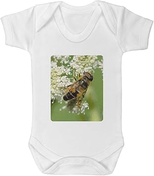 bee baby grow