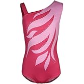 SanReach Girls Flame One Cold Shoulder Athletic Dance Gymnastic Leotards Bodysuit Outfit