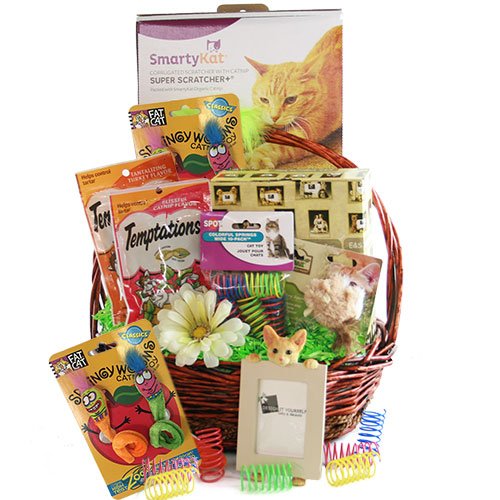 cat gift basket
