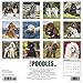 Just Poodles 2020 Wall Calendar (Dog Breed Calendar)