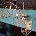 LuxLumi Diamonds are Forever Rose String Lights Gold & Wire Caged Soft White 20 LED Rustic Farmhouse Bedroom Nursery Dorm Home Décor Teen Kids Baby Fall Decorations (10.5FT)