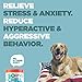 Rigby Calming Treats for Dogs - Natural Anxiety Relief Chews with Hemp Oil for Separation, Stress & Relaxation - Composure Aid for Thunder, Fireworks, Barking & Chewing - 90 Calming Bites