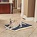 MidWest Homes for Pets QuietTime Reversible Paw Print Pet Bed, Soft Faux Fur & Fleece 48-Inch Crate Mat for Extra-Large Dogs, Machine Washable, Blue and Cream