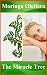 Moringa Oleifera benefits: enrich your life with the Miracle Tree for well-being, happiness, weight loss. More than a super-food, nutritional supplement, food supplement