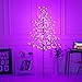 Bolylight LED Cherry Blossom Tree 6ft 208L and Indoor and Outdoor Decoration Lighted Tree for Bedroom/Party/Wedding/Office/Home Light Purple