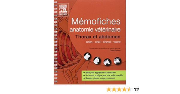 Memofiches Anatomie Veterinaire Thorax Et Abdomen Chien Chat Cheval Vache Hors Collection French Edition Douart Claire Amazon Com Books