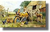 Donkey Mule Chicken Farm Kitchen Picture on Stretched Canvas, Wall Art Décor, Ready to Hang!