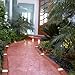 Argee RG840S Let's Light It 40-Foot Decorative Plastic Brick Edging with 6 Built-In Solar Lights, Terra Cotta