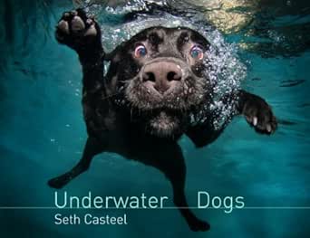 Underwater Dogs (English Edition)