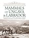 Mammals of Ungava and Labrador: The 1882-1884 Fieldnotes of Lucien M. Turner together with Inuit and Innu Knowledge by Bryony Anderson, Scott A. Heyes