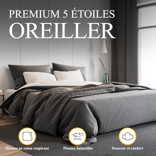 Orange Wave Feather Pillow, 60 x 60 cm, Luxury Down and Feather Pillow, Hotel Quality and Comfort Soft Pillow, RDS Certified and Oeko-TEX Certified for Optimal Support
