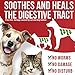 VetaHelp Labs Dewormer for Dogs & Cats (2 OZ) - Treat & Prevent - Broad Spectrum Whipworm, Roundworm & Tapeworm Dewormer - Made in USA - Natural Powerful Blend - Senior Pets, Kitten & Puppy Dewormer