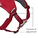 Ruffwear, Web Master, Multi-Use Support Dog Harness, Hiking and Trail Running, Service and Working, Everyday Wear, Red Currant, Medium