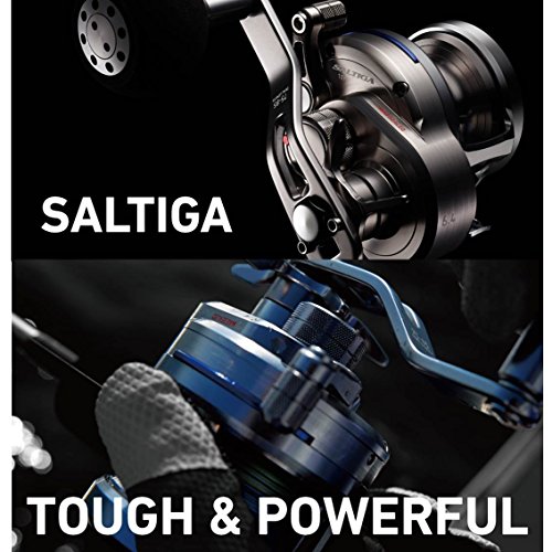 Daiwa – Moulinet Saltiga 2015 35 Nh