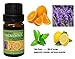 Calm Relaxing - 100% Pure Therapeutic Grade Essential Oil 10ML (Blended)