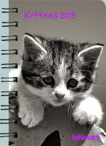 2013 Kittens Deluxe Pocket Engagement Calendar