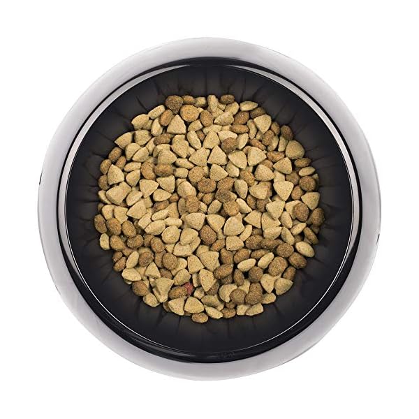 supercoat true origin