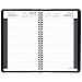 AT-A-GLANCE Daily Appointment Book / Planner 2017, Wirebound, 4-7/8 x 8