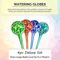 Blazin' Bison Indoor Plant Watering Globes