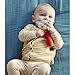 Petit Collage Organic Cotton Soft Squeaker Baby Rattle, Fox – Cute Rattle for Infants – Activity Toy with Soft Developmental Features – Makes an Ideal Baby Gift – Stuffed Animal Baby Rattle