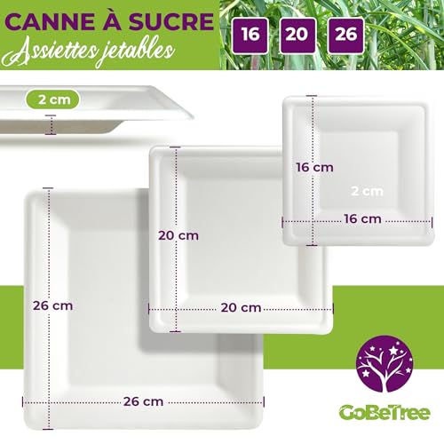 GoBeTree 100 x 26cm White Sugarcane Square Disposable Paper Plates Extra Durable Disposable Paper Plates for Camping, Picnics, Parties, BBQs, Birthdays