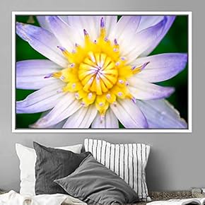signwin Framed Canvas Wall Art Blooming Closeup Botanical...