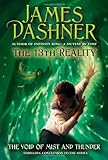 The 13th Reality, Book 4: The Void of Mist and Thunder