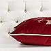 Homey COZY Embroidery Red Velvet Throw Pillow Cover, Merry Christmas Series Holiday Theme Luxury Soft Fuzzy Cozy Warm Slik Gift Square Couch Cushion Pillow Case 20 x 20 Inch, Cover Only