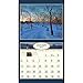 Lang January to December, 13.375 x 24 Inches, Perfect Timing Around The World 2015 Wall Calendar by Eugene Lushpin (1001779)