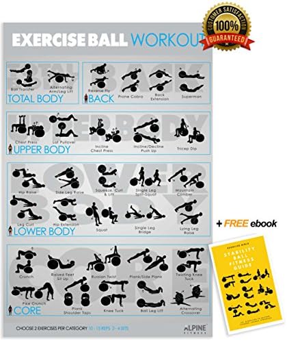 Stability Ball Exercise &amp; Fitness Poster | Laminated Gym Planner for a Great Workout - Guide to Build Muscle &amp; Strength | Alpine Fitness