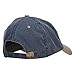 NASA Insignia Embroidered Washed Two Tone Cap