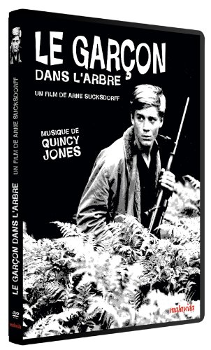 Le Garçon Dans L'arbre