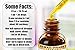 Cilantro Alcohol-FREE Liquid Extract, Organic Cilantro (Coriandrum Sativum) Dried Leaf Glycerite Hawaii Pharm Natural Herbal Supplement 2 oz