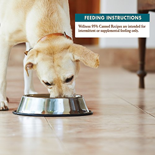 Wellness 95 Salmon GrainFree Canned Dog Food, 13.2 Ounces, Pack of 12 Pricepulse