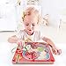 Hape Kids A-mazing Pepe Wood Maze