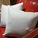 Set of 2, Square Decorative Throw Pillows Inserts Down and Feather Pillow Insert, Cotton Fabric, 26X26 Inches