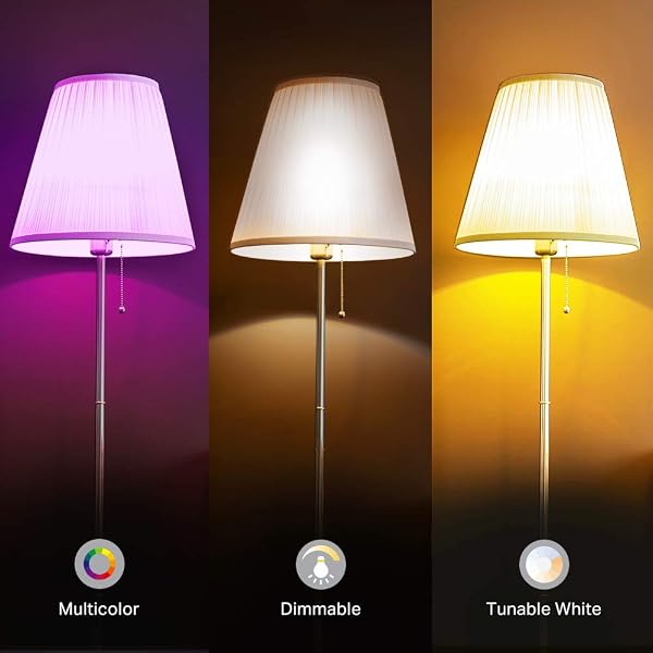KASA SMART LIGHT BULBS, FULL COLOR CHANGING DIMMABLE SMART WIFI BULBS COMPATIBLE WITH ALEXA AND GOOGLE HOME, A19, 9W 800 LUMENS,2.4GHZ ONLY, NO HUB REQUIRED, 4 COUNT (PACK OF 1), MULTICOLOR (KL125P4)