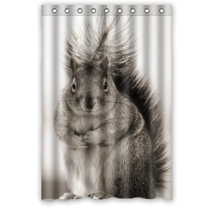 Amazon Com 48 W X 72 H Cute Funny Fat Squirrel Bathroom