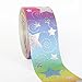Laser Star Grosgrain Rainbow Ribbon 3