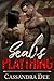 SEAL's Plaything: A Secret Baby Military Romance
