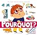 Pourquoi ? : Avec plein d'autocollants by 