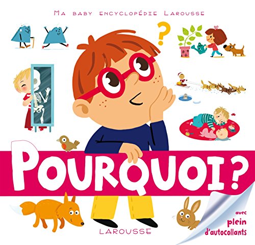 Pourquoi ? : Avec plein d'autocollants by Anne Royer