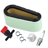 HIFROM 496894 Air Filter 272403S Pre Filter with 394358 Fuel Filter 494768 Fuel Shut Off Valve for Briggs & Stratton 282700 12.5-17 HP Engines